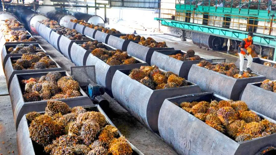 Agro-processing Investment Package